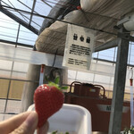 松井ファーム - 