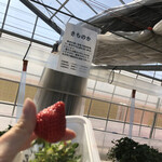 松井ファーム - 