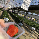 松井ファーム - 