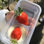 松井ファーム - 