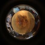 お酒と中華 eito - 料理