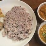 初台スパイス食堂 和魂印才たんどーる - 202304