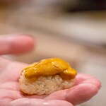 うを徳 - 2023.4 函館産ムラサキウニ