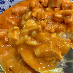 ヌードル＆スパイスカレー 今日の1番 - 