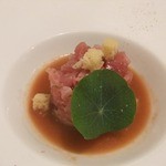 コルツ - 2013/07　本鮪とアボカドのタルタル　ガスパチョ