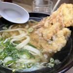 博多さぬきうどん - ごぼう天うどん