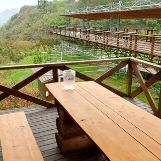 白糸うどん やすじ_2