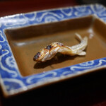 松川 - 本モロコ