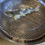 てんぷらと和食 山の上 - 