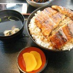 うなふじ支店 - 上うな丼（大盛り）
