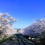 京つけもの 打田漬物 - 