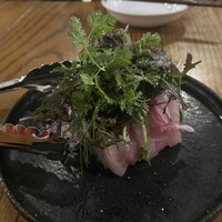 ブラチェリア バーヴァ -  ブラチェリア バーヴァ -