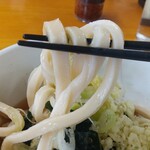 Hachiman Udon - 冷やしの麺がコシがあって美味しい( ﾟ∀ﾟ)ﾉ