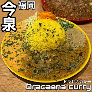 Dracaena curry - 