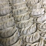 Hand-wrapped Gyoza / Dumpling (specialty) (6 pieces)