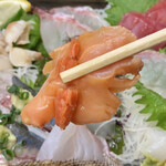 Uogashidokoro Sen - 12種の日替り刺身定食　赤貝
