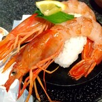 廻鮮寿し丸徳 武庫之荘店 - 