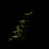 緑の館 - 前日の夜撮影の郡上八幡城と月のコラボ