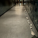 エースホテル京都 - 