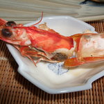 千松しま - 海老２