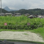ふくや - 駐車場は砂利です。