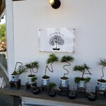 ボンサイ カフェ - 