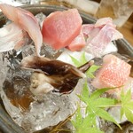 しんのすけ - 2304刺し盛り