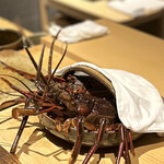 温石 - とにかく大きな伊勢海老！