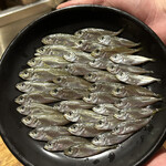 温石 - 群れで泳いでるかのように整列した豆鯵。
      かわいい♪