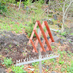 Mikuni Izukougen - 