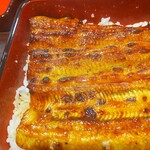 うなぎ 魚政 - 「天然うなぎ」