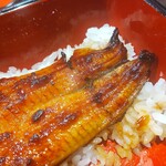 うなぎ 魚政 - 「天然うなぎ」