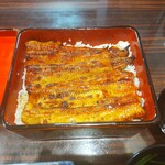 うなぎ 魚政 - 「天然うなぎ」