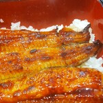 うなぎ 魚政 - 「天然うなぎ」