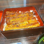 うなぎ 魚政 - 「天然うなぎ」