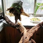 横浜亜熱帯茶館 - ずーーっとここにいたいなぁ