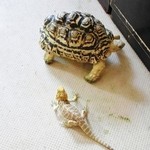 横浜亜熱帯茶館 - 夢のようなコラボ