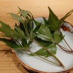 肉料理ふくなが - 