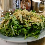 麦酒宿 まり花 道玄坂 - 鶏肉とパクチーのサラダ