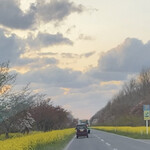 中国四川料理 彗星 - 