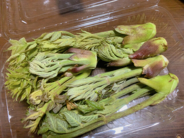 道の駅たまかわ こぶしの里 - 泉郷（道の駅）の写真