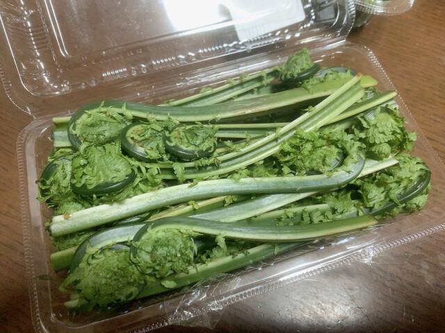 道の駅たまかわ こぶしの里 - 泉郷（道の駅）の写真