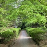 日々のカフェ - 深山公園ウォーキングの風景