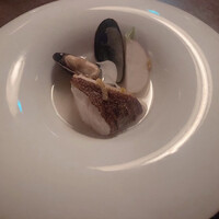 TOOTH TOOTH TOKYO - 