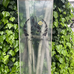 黒毛和牛ヘレ肉専門店 炭火焼肉 りきちゃん 北浜店 - 