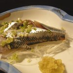 秀 - いわし刺身