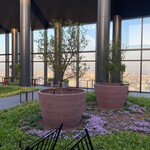 ブルガリ バー - 