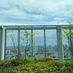 ブルガリ バー - 