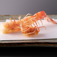 天ぷらコース特上　旬の天婦羅10種類に芝海老のかき揚げご飯が付いた全16品のお昼の天冨良会席