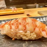 鮨 とかみ - 2023.3.  車海老